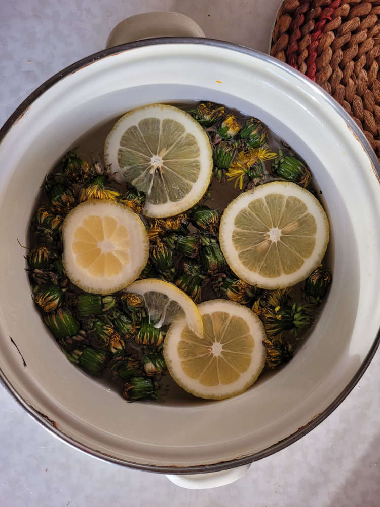 Cookinghoney Cookinghoney